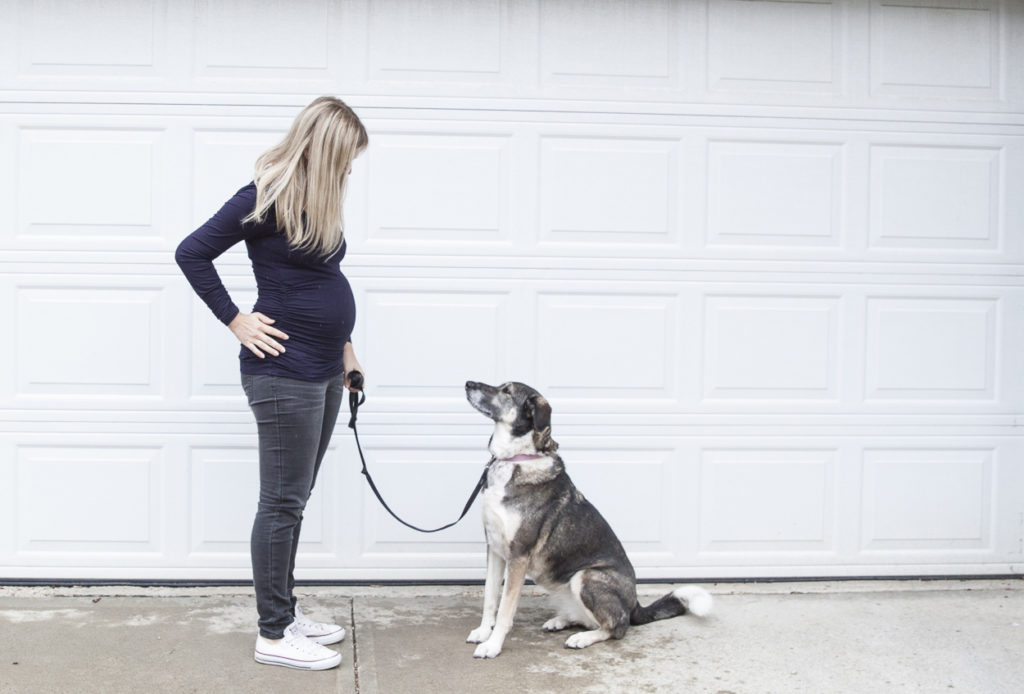 Fall Maternity Staples