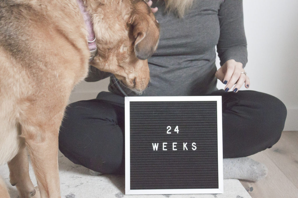 pregnancy, 24 weeks, maternity
