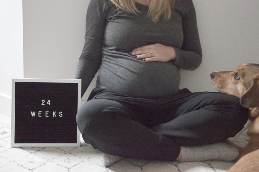 pregnancy, 24 weeks, maternity