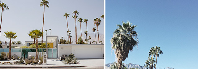 Palm Springs, travel guide, Palm Springs travel