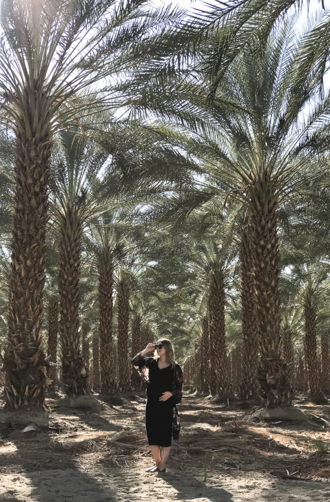 Palm Springs, travel guide, Palm Springs travel