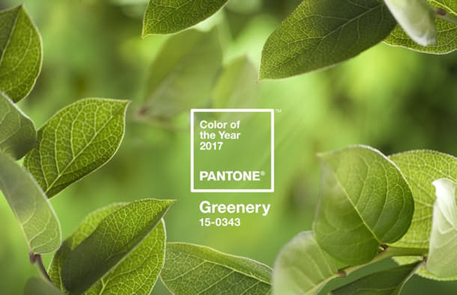 Pantone's 2017 Colour of the Year