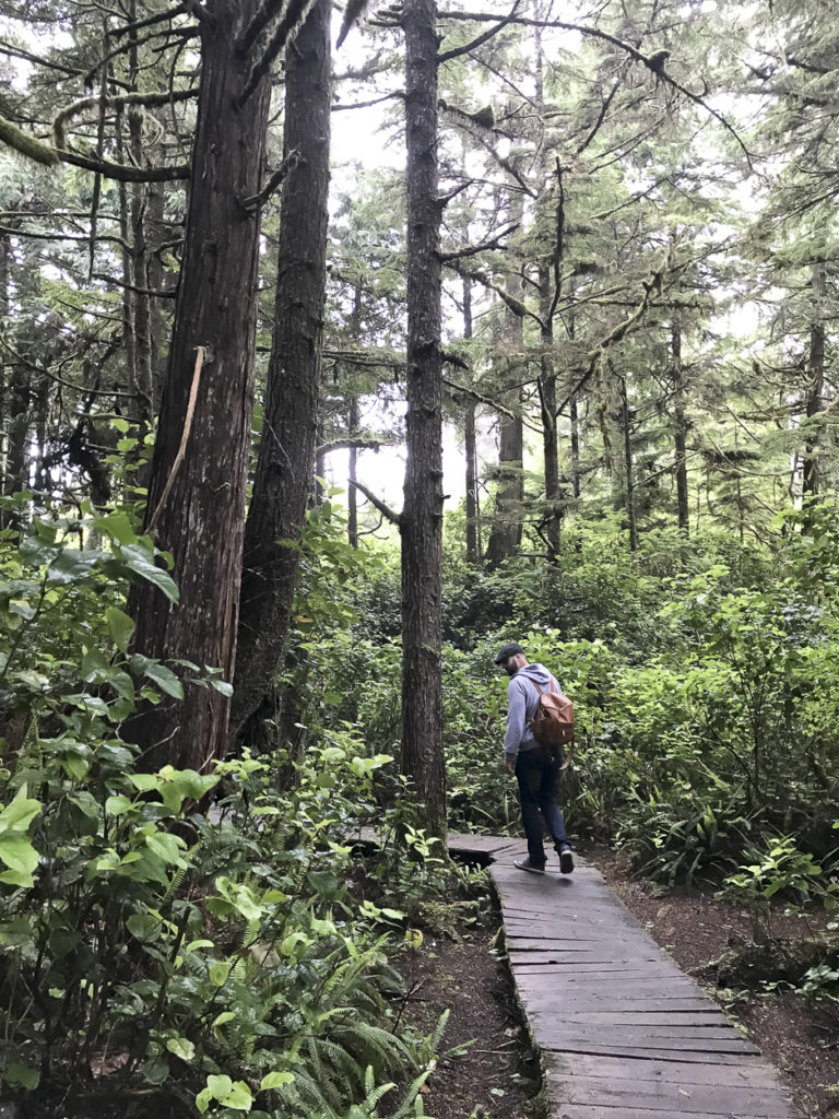 Travelling to Tofino with a Baby