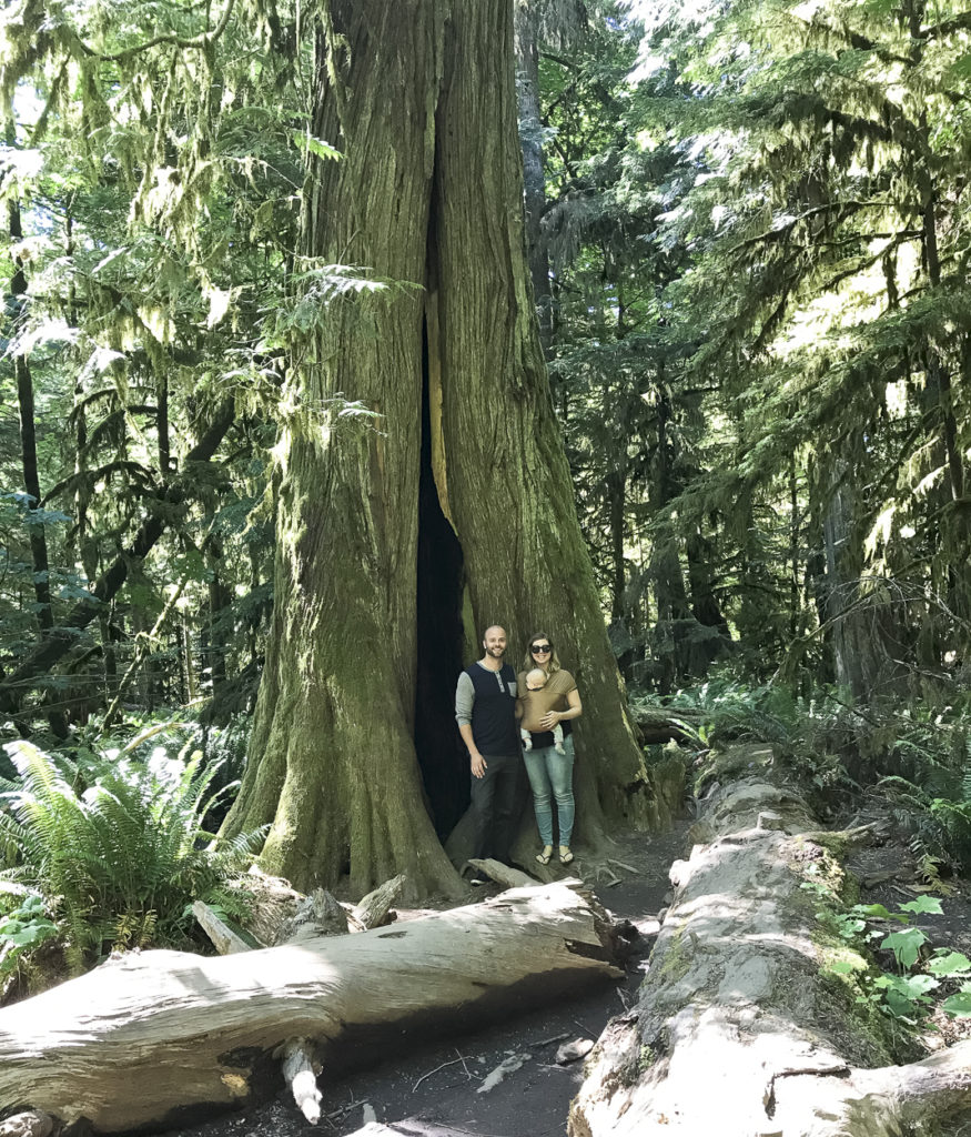 Travelling to Tofino with a Baby