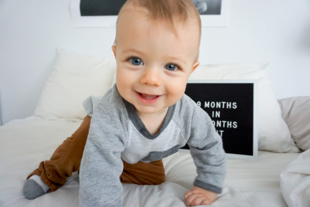 9 months old, baby, baby milestones