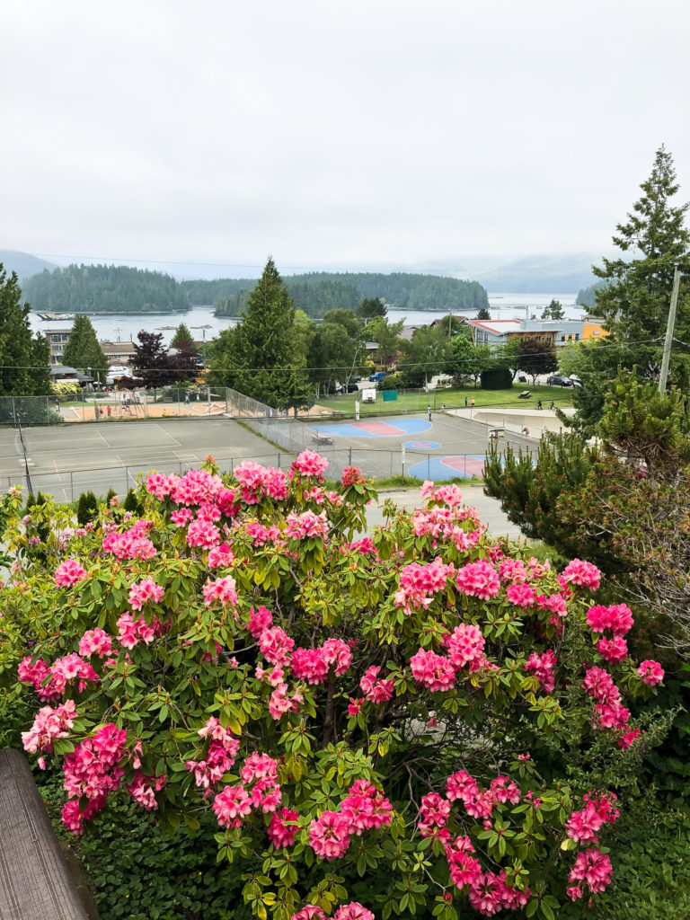 tofino, Airbnb, where to stay Tofino