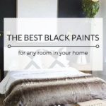 best black paint